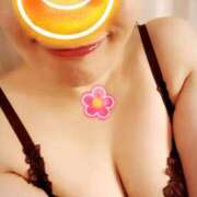 ヒメ日記 2025/09/04 09:06 投稿 なほ 西船人妻花壇