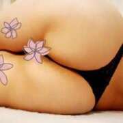 ヒメ日記 2025/09/27 14:03 投稿 なほ 西船人妻花壇