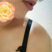 ヒメ日記 2025/12/12 20:35 投稿 なほ 西船人妻花壇