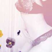 ヒメ日記 2025/12/23 23:47 投稿 なほ 西船人妻花壇