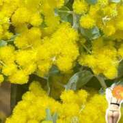 ヒメ日記 2026/01/28 12:42 投稿 なほ 西船人妻花壇