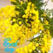 ヒメ日記 2026/02/14 13:05 投稿 なほ 西船人妻花壇