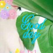 ヒメ日記 2026/02/23 12:38 投稿 なほ 西船人妻花壇