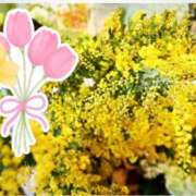 ヒメ日記 2026/03/09 08:22 投稿 なほ 西船人妻花壇