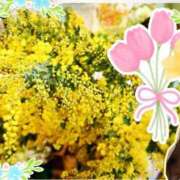 ヒメ日記 2026/03/10 12:25 投稿 なほ 西船人妻花壇