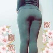 ヒメ日記 2026/03/21 08:04 投稿 なほ 西船人妻花壇