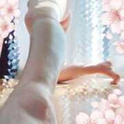 ヒメ日記 2026/03/26 11:28 投稿 なほ 西船人妻花壇