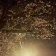 ヒメ日記 2026/03/27 23:53 投稿 なほ 西船人妻花壇