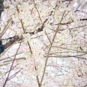 ヒメ日記 2026/03/31 12:37 投稿 なほ 西船人妻花壇