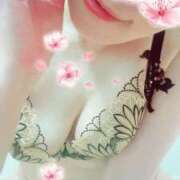 ヒメ日記 2026/04/01 02:42 投稿 なほ 西船人妻花壇