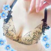 ヒメ日記 2026/04/06 10:15 投稿 なほ 西船人妻花壇