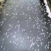 ヒメ日記 2026/04/07 18:44 投稿 なほ 西船人妻花壇