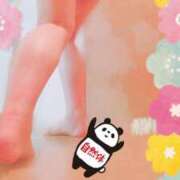 ヒメ日記 2026/05/12 14:31 投稿 なほ 西船人妻花壇