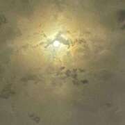 ヒメ日記 2026/09/25 23:06 投稿 なほ 西船人妻花壇