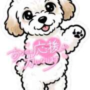 ヒメ日記 2025/10/23 17:00 投稿 みく イエローキャブ