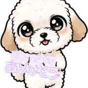 ヒメ日記 2025/11/06 06:04 投稿 みく イエローキャブ