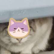 ヒメ日記 2024/12/16 16:50 投稿 北野ひまり 五十路マダム宇都宮店(カサブランカグループ)