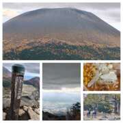 ヒメ日記 2025/11/02 19:42 投稿 北野ひまり 五十路マダム宇都宮店(カサブランカグループ)