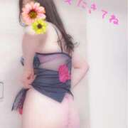 ヒメ日記 2025/03/15 10:23 投稿 しるく 奥鉄オクテツ大阪