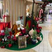 ヒメ日記 2025/11/21 16:23 投稿 しるく 奥鉄オクテツ大阪