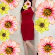 ヒメ日記 2025/11/27 14:24 投稿 しるく 奥鉄オクテツ大阪