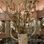 ヒメ日記 2026/01/17 20:01 投稿 しるく 奥鉄オクテツ大阪