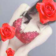 ヒメ日記 2026/02/03 18:59 投稿 しるく 奥鉄オクテツ大阪