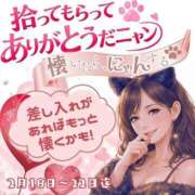 ヒメ日記 2026/02/13 16:15 投稿 しるく 奥鉄オクテツ大阪