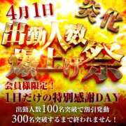 ヒメ日記 2026/03/29 18:16 投稿 しるく 奥鉄オクテツ大阪