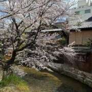 ヒメ日記 2025/04/08 00:00 投稿 奥村　せいか エテルナ京都