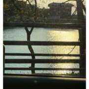 ヒメ日記 2025/04/29 20:37 投稿 奥村　せいか エテルナ京都