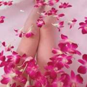 ヒメ日記 2025/05/29 23:46 投稿 奥村　せいか エテルナ京都