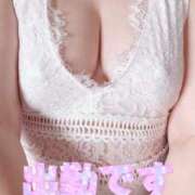 ヒメ日記 2025/02/06 11:57 投稿 ひかる 性腺熟女100％（デリヘル市場）