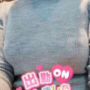 ひかる 出勤です♪ 性腺熟女100％（デリヘル市場）