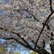 ヒメ日記 2026/04/04 07:37 投稿 レン Club Hearts