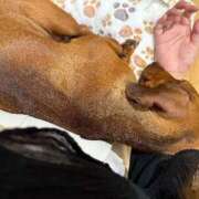 ヒメ日記 2025/07/08 12:22 投稿 スズ ラブ&ピース 大宮店