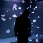 ヒメ日記 2025/07/16 06:31 投稿 スズ ラブ&ピース 大宮店