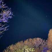 ヒメ日記 2025/01/01 03:08 投稿 あいぬ 性の極み 技の伝道師 Ver.新横浜店