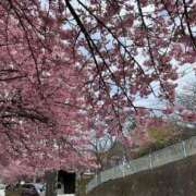 ヒメ日記 2026/02/28 21:18 投稿 あいぬ 性の極み 技の伝道師 Ver.新横浜店