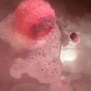 かなみ マイブーム 横浜Cute