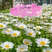 ヒメ日記 2025/05/29 21:00 投稿 ふみか 厚木人妻城