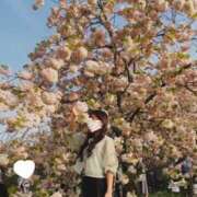 ヒメ日記 2026/04/20 15:00 投稿 あき XSTASY（エクスタシー）