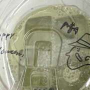 ヒメ日記 2025/10/29 01:00 投稿 ひなの 神田ハンドメイド