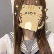 ヒメ日記 2025/11/26 12:30 投稿 ひなの 神田ハンドメイド