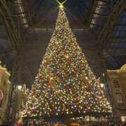 ヒメ日記 2025/11/26 18:10 投稿 ひなの 神田ハンドメイド