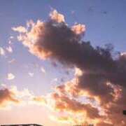 ヒメ日記 2025/11/06 18:14 投稿 みなみ しろわい 仙台店