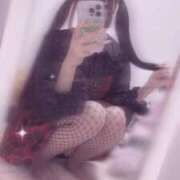 ヒメ日記 2025/02/12 00:01 投稿 かるた ポッキリ学園 ～モテモテハーレムごっこ～