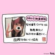 ヒメ日記 2025/03/16 21:37 投稿 かるた ポッキリ学園 ～モテモテハーレムごっこ～