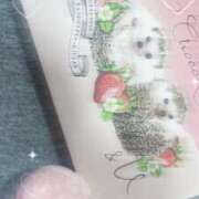 ヒメ日記 2025/03/31 19:21 投稿 かるた ポッキリ学園 ～モテモテハーレムごっこ～