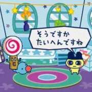 ヒメ日記 2025/04/30 00:01 投稿 かるた ポッキリ学園 ～モテモテハーレムごっこ～